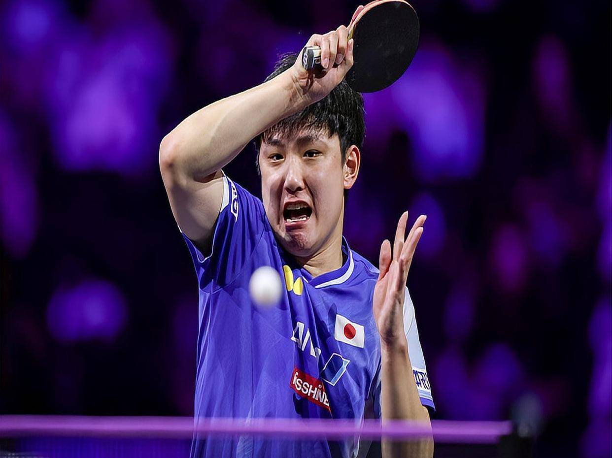 开云体育中国-关于中国队鏖战法国队，张本智和高光表现的信息